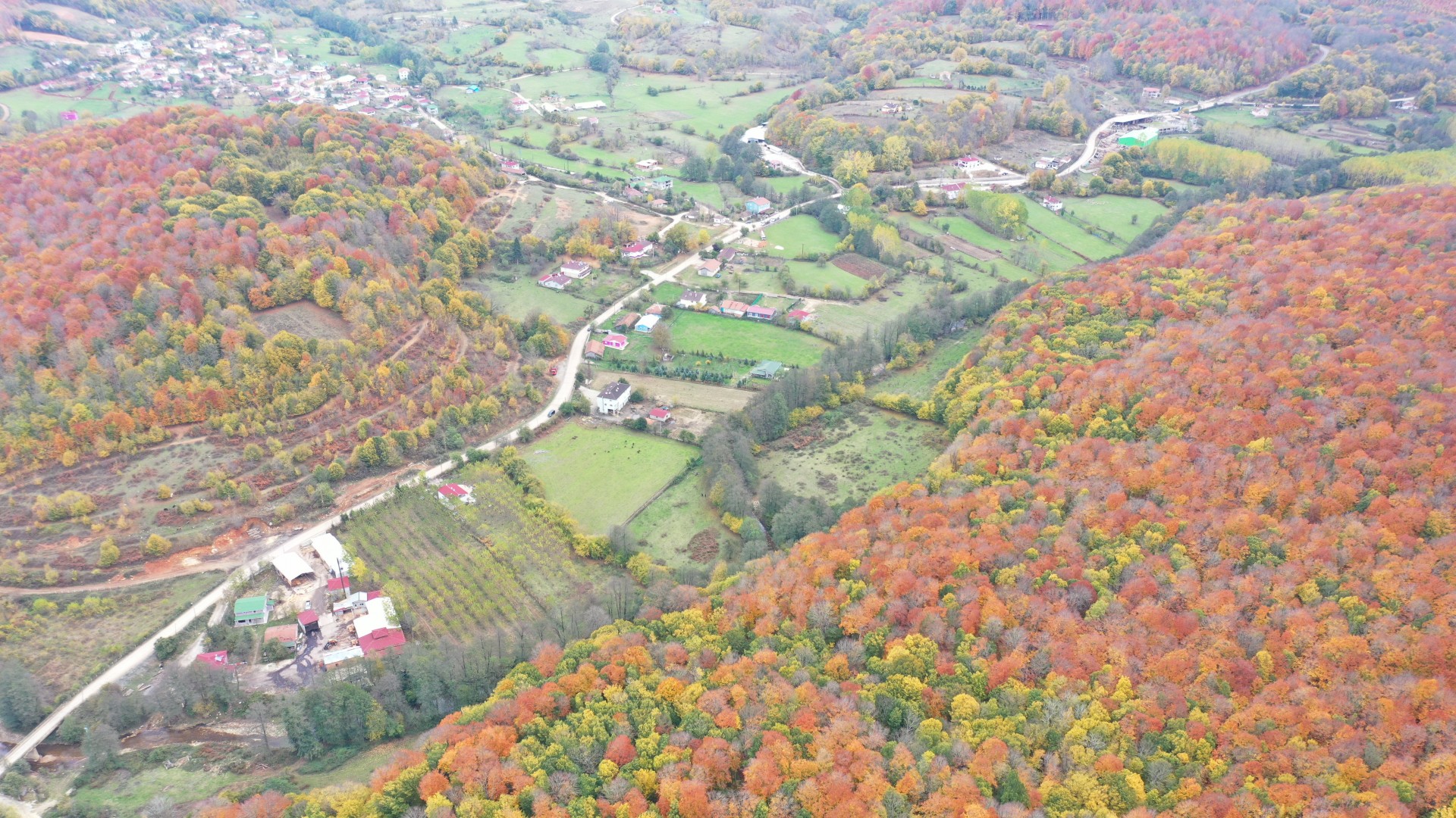 İğneada Velika 1